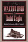 Making Iron on the Bald Eagle : Roland Curtin's Ironworks and Workers' Community - Book