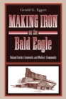Making Iron on the Bald Eagle : Roland Curtin's Ironworks and Workers' Community - Book
