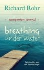 Breathing Under Water Companion Journal : Spirituality and the Twelve Steps - eBook