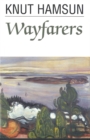 Wayfarers - eBook