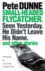 Small-headed Flycatcher. Seen Yesterday. He Didn’t Leave His Name. : and other stories - Book