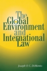 The Global Environment and International Law - Book