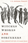 Witches, Whores, and Sorcerers : The Concept of Evil in Early Iran - eBook