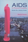 AIDS in French Culture : Social Ills, Literary Cures - Book