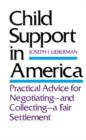 Child Support in America : Practical Advice on Negotiating and Collecting a Fair Settlement - Book