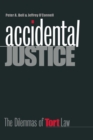 Accidental Justice : The Dilemmas of Tort Law - Book