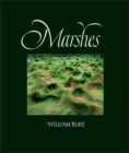 Marshes : The Disappearing Edens - Book