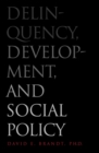Delinquency, Development, and Social Policy - eBook