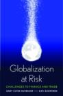 Globalization at Risk : Challenges to Finance and Trade - Book