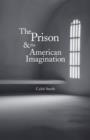 The Prison and the American Imagination - eBook