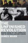The Unfinished Revolution : Making Sense of the Communist Past in Central-Eastern Europe - Book
