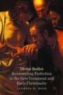 Divine Bodies : Resurrecting Perfection in the New Testament and Early Christianity - Book