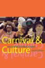 Carnival and Culture : Sex, Symbol, and Status in Spain - Book
