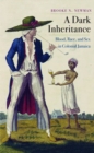 A Dark Inheritance : Blood, Race, and Sex in Colonial Jamaica - Book
