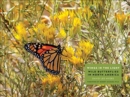Wings in the Light : Wild Butterflies in North America - Book