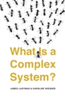 What Is a Complex System? - eBook