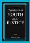 Handbook of Youth and Justice - Book