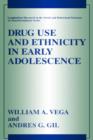Drug Use and Ethnicity in Early Adolescence - eBook