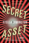 Secret Asset - eBook