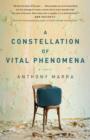 A Constellation of Vital Phenomena - eBook