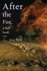 After the Fire, a Still Small Voice - eBook