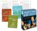 Cesar's Way Deck : 50 Tips for Training and Understanding Your Dog - Book