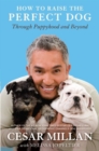 How to Raise the Perfect Dog - eBook