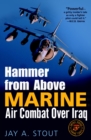 Hammer from Above - eBook