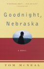 Goodnight, Nebraska - eBook