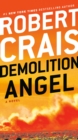 Demolition Angel - eBook