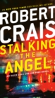 Stalking the Angel - eBook