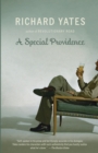 Special Providence - eBook
