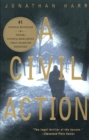 Civil Action - eBook