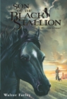 Son of the Black Stallion - eBook