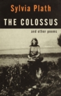 Colossus - eBook
