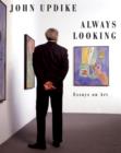 Always Looking - eBook