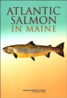 Atlantic Salmon in Maine - Book