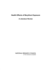 Health Effects of Beryllium Exposure : A Literature Review - eBook