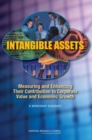 Intangible Assets : Measuring and Enhancing Their Contribution to Corporate Value and Economic Growth - Book