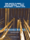 Tank Wastes Planned for On-Site Disposal at Three Department of Energy Sites : The Savannah River Site: Interim Report - eBook