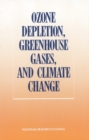 Ozone Depletion, Greenhouse Gases, and Climate Change - eBook