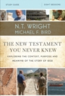 The New Testament You Never Knew Bible Study Guide : Exploring the Context, Purpose, and Meaning of the Story of God - eBook