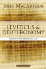 Leviticus and Deuteronomy : Visions of the Promised Land - eBook