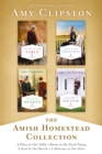 The Amish Homestead Collection : A Place at Our Table, Room on the Porch Swing, A Seat by the Hearth, A Welcome at Our Door - eBook