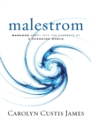 Malestrom : Manhood Swept into the Currents of a Changing World - eBook