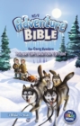 NIrV, Adventure Bible for Early Readers, Polar Exploration Edition, Hardcover, Full Color : #1 Bible for Kids - Book