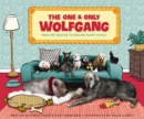 The One and Only Wolfgang : From pet rescue to one big happy family - eBook