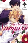 He's My Only Vampire, Vol. 4 - Book