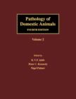 Pathology of Domestic Animals - eBook