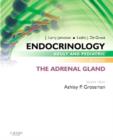Endocrinology Adult and Pediatric: The Adrenal Gland - Book